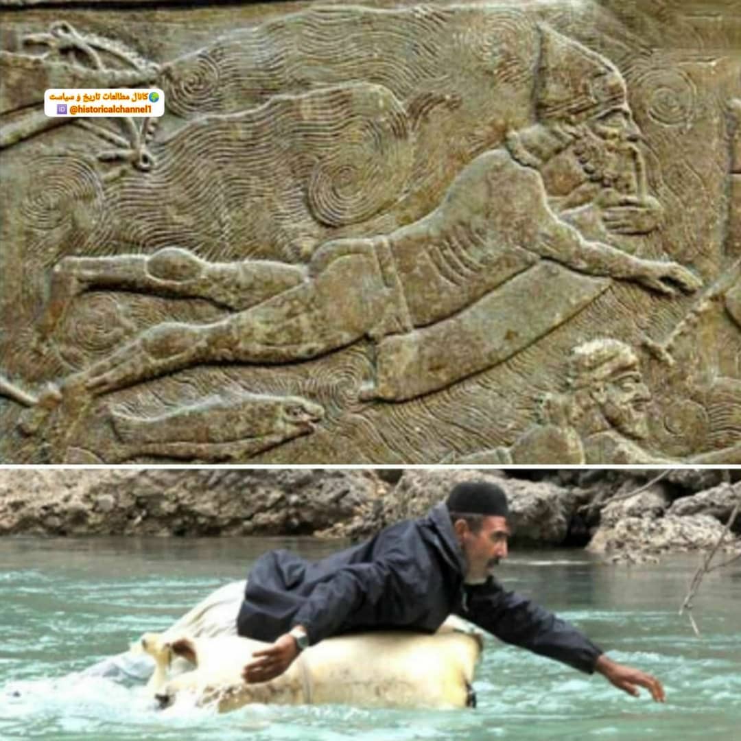 عکسی که ایرانِ سه هزار سالِ پیش را بازسازی کرد