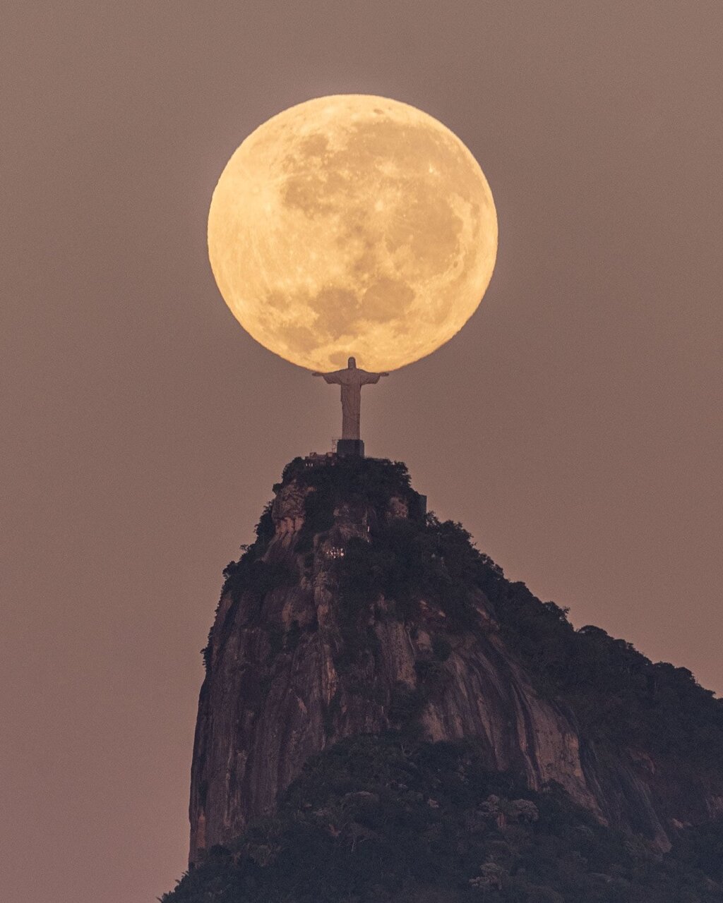 عکاس برزیلی بعد از 3 سال موفق به ثبت این عکس بی‌نظیر شد