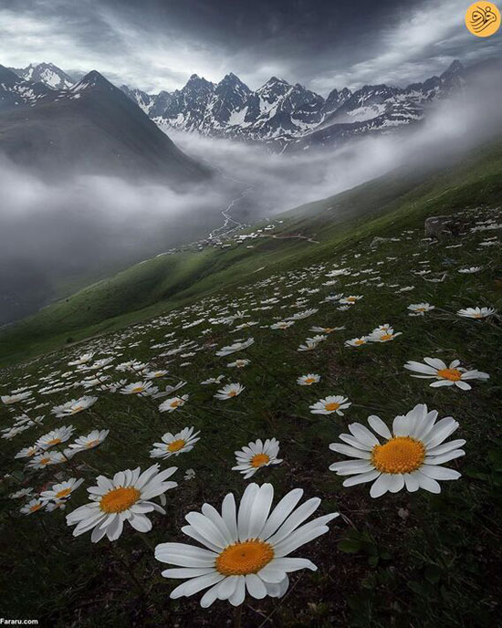 مناظر کوهستانی ماورایی که متحیرتان می‌کند!