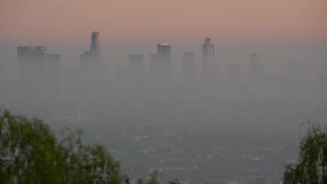 آلودگی هوا عامل مهم مرگ زودرس در جهان