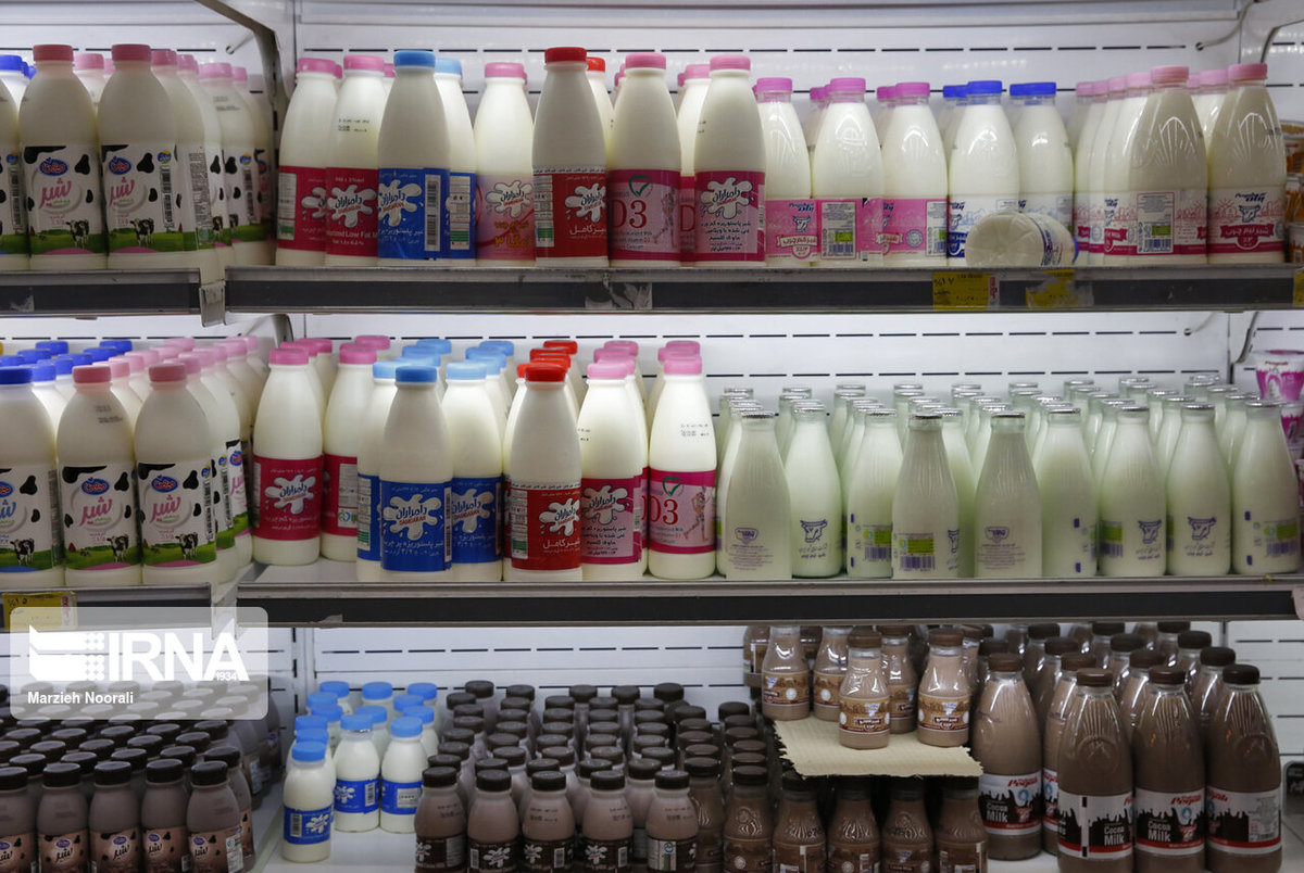 شیر در ایران مشتری ندارد، صادر می‌شود! 