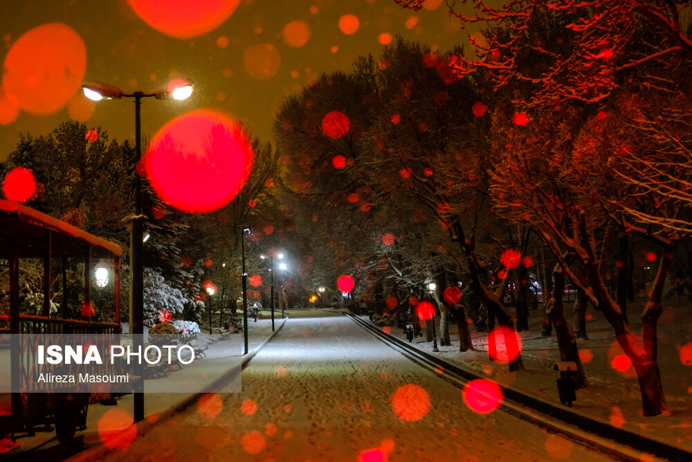 تصاویری متفاوت از شب‌های روشن تهران