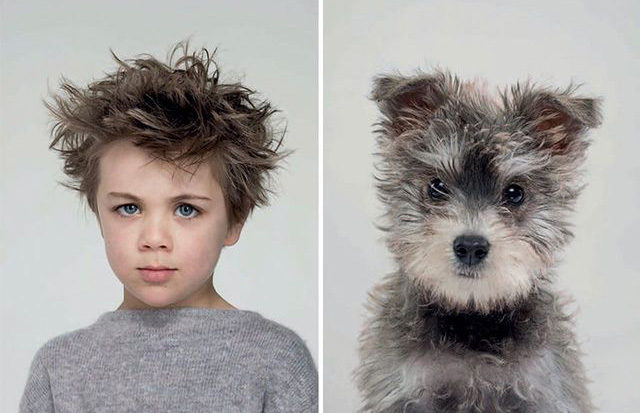 این عکس‌ها ثابت می‌کند شما شبیه حیوان خانگی‌تان خواهید شد