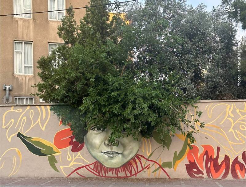 خلاقیت تماشایی در یکی از خیابان های تهران
