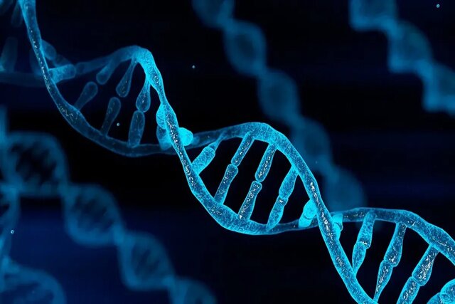 دانشمندان راز X شکل بودن DNA را کشف کردند