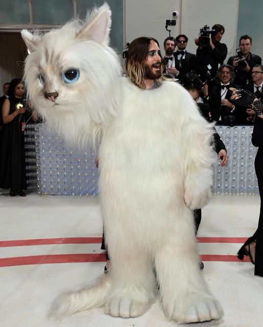 بازیگر مشهور با استایل گربه در ملاعام ظاهر شد