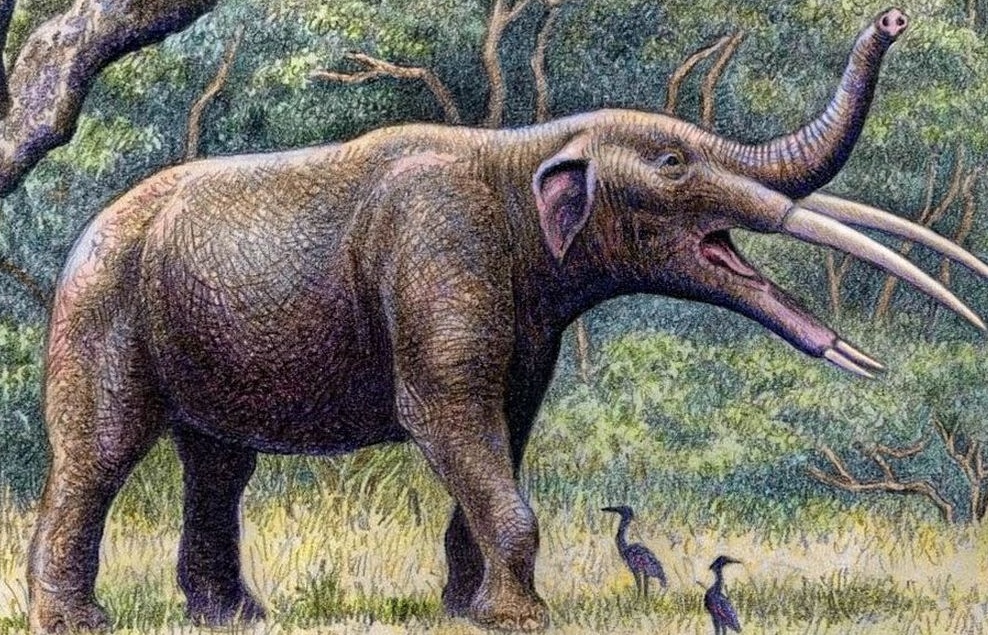 کشف فسیل‌ یک «فیل» عجیب و منقرض‌شده