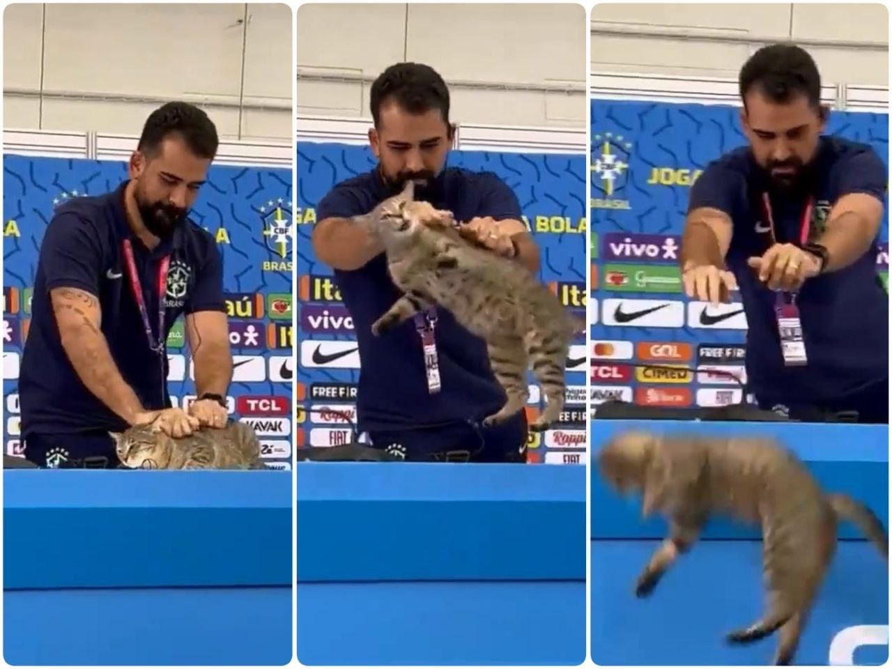 نفرین این گربه برزیل را گرفت!