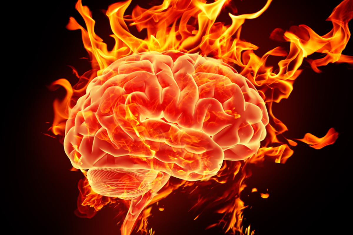 مغز انسان تا چه حد داغ می‌شود؟