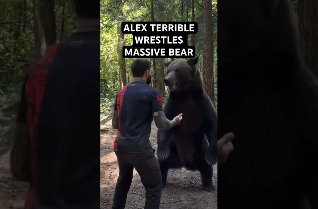 دیدار جالب خرس غول‌پیکر با مردی که او را نجات داد