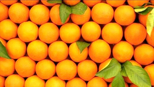 چرا نباید پوست پرتقال را دور بیندازیم؟