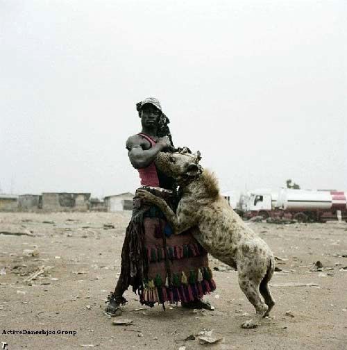 حیوانات خانگی آفریقایی ها!!/ عکس
