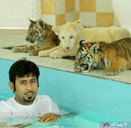 باغ وحش خانگی جوان اماراتی