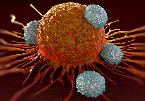 راهبرد درمانی جدیدی برای مهار سرطان روده بزرگ