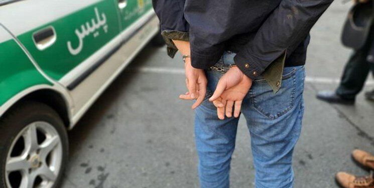 دستگیری ۲۳ دختر و پسر در پارتی شبانه