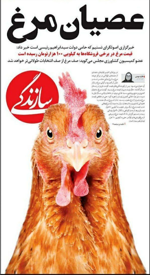 صفحه اول یک روزنامه، قیمت مرغ را به رخ کشید