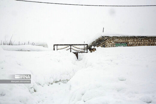 تصویر هوایی از زیر برف رفتن خانه‌ها در کوهرنگ