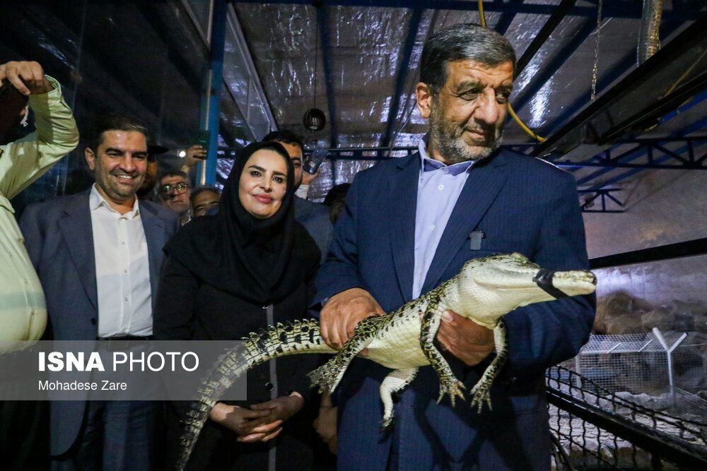 عکسی از یک تمساح در دست ضرغامی!