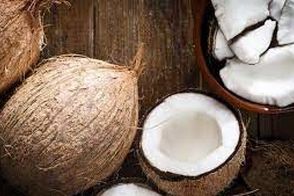 عجیب اما واقعی؛ شکستن ۱۴۸ نارگیل با یک دست!