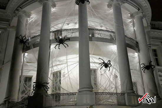 کاخ سفید در تسخیر عنکبوت‌های غول پیکر
