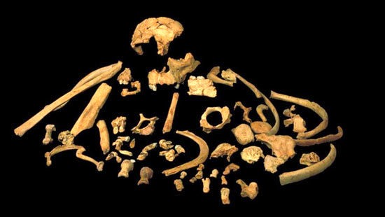بقایای قدیمی‌ترین انسان ۱ میلیون سال عمر دارد