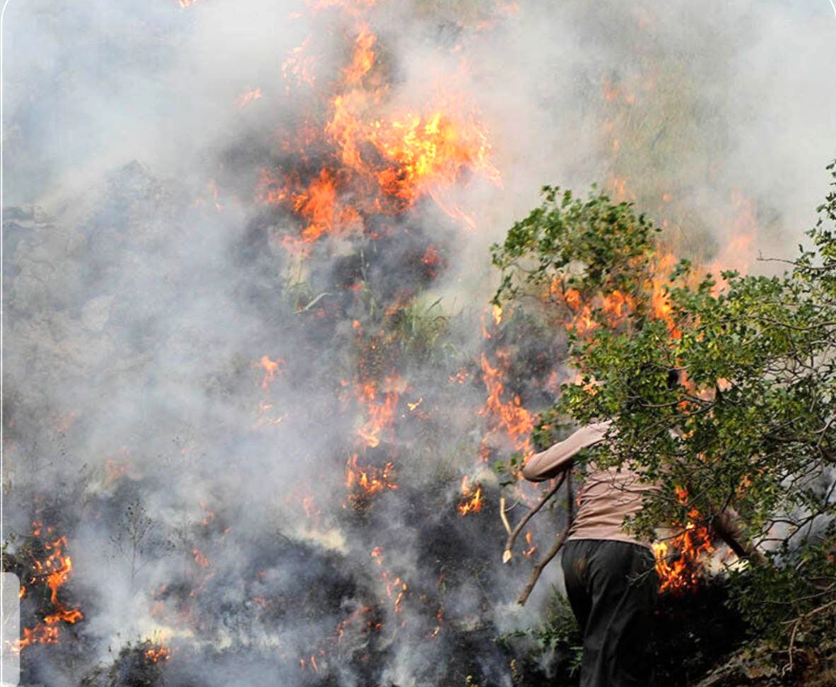جزئیات آتش‌سوزی وحشتناک جنگل‌های مریوان 