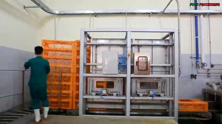 عملیات پاک کردن، برش و بسته بندی مرغ در یک کارخانه مدرن