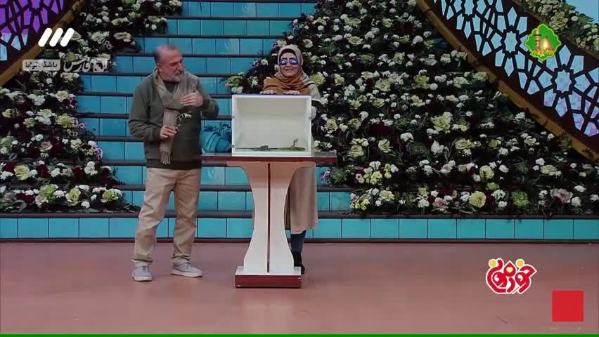ترس مهران رجبی از مارمولک روی آنتن زنده 
