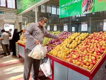 گران‌ترین و ارزان‌ترین میوه بازار کدام‌ها هستند؟