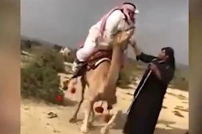 وقتی شتر‌ها برای انسان‌ها به سیم آخر می‌زنند!