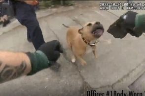 شلیک پلیس به یک سگ!