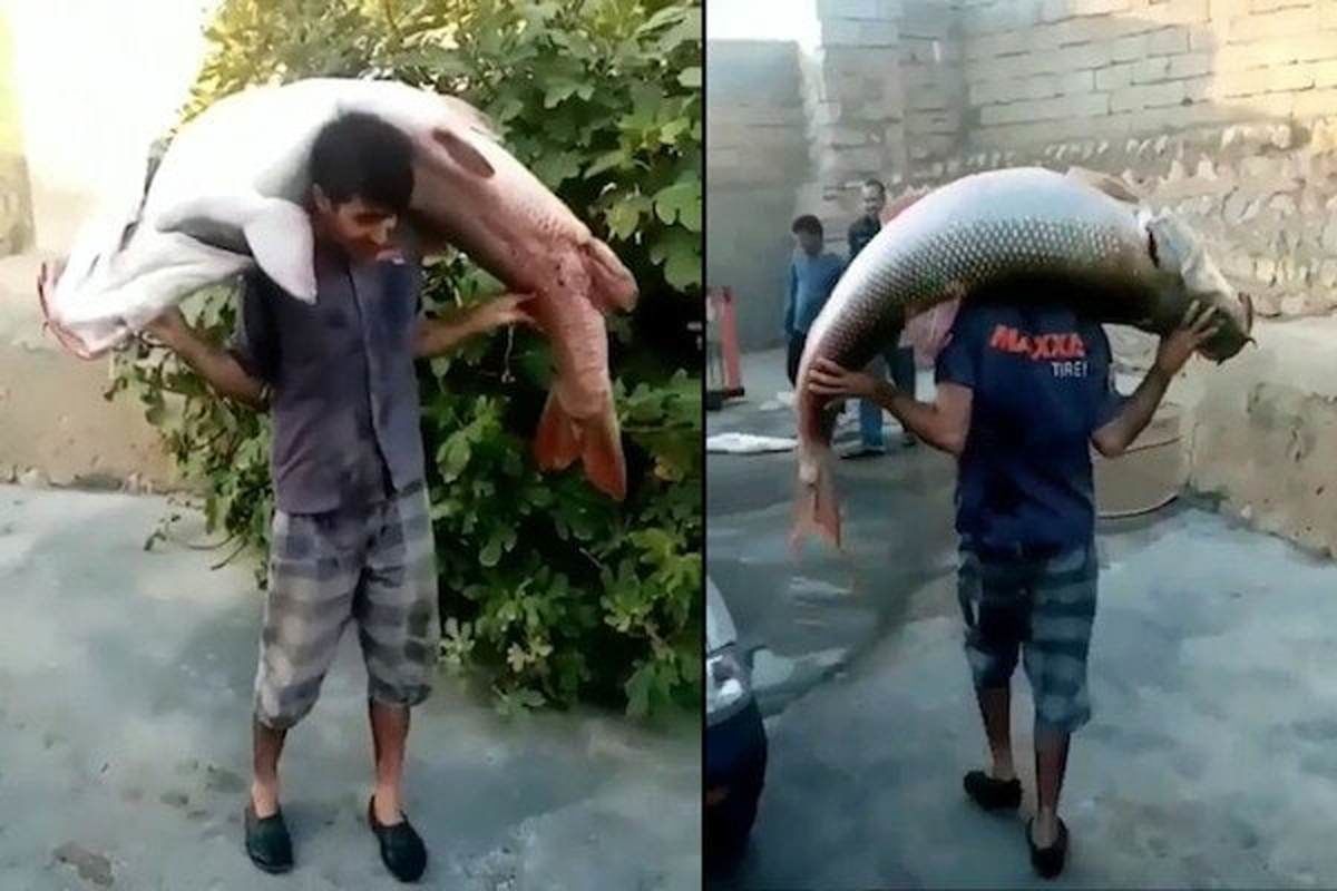 عجیب‌ ترین صید ماهی از رودخانه‌ای در ایران