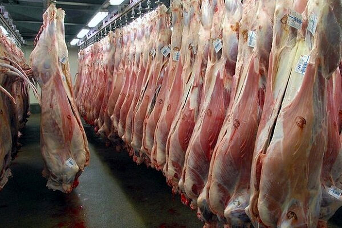 گوشت گوسفند آفریقایی به ایران رسید
