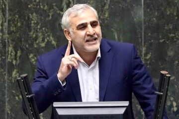 انتقاد شدید نماینده مجلس از روند اجرایی دولت